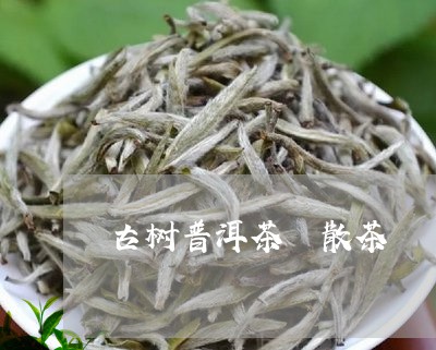 古树普洱茶 散茶/2023041145240